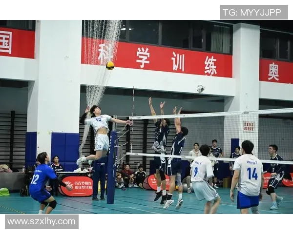 南京排球队在欧锦赛中的蜕变与新篇章探索之旅