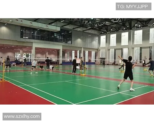 南京羽毛球队的意识提升与团队精神探讨聚焦羽毛球运动的未来发展