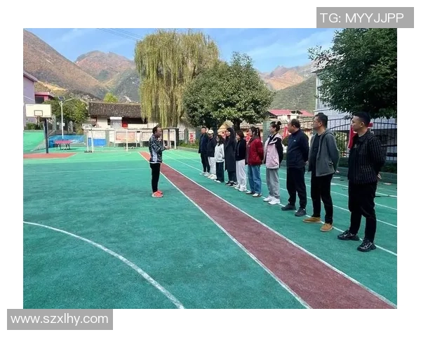 西安羽毛球队的速度与激情探索羽毛球运动的魅力与发展